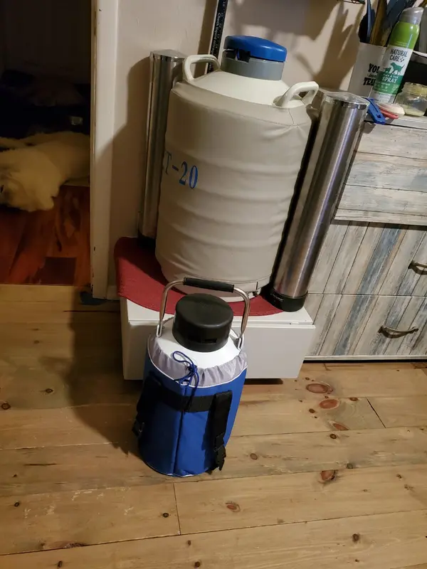 10l液氮罐